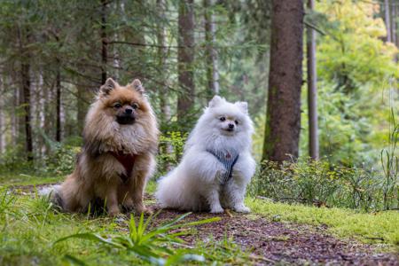 Karli und Milow