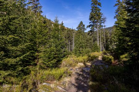 Wandern im Riesengebirge