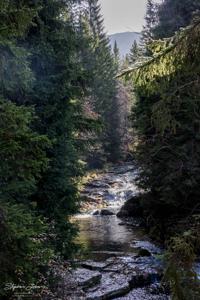 Wandern im Riesengebirge