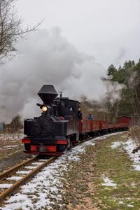 Waldeisenbahn Muskau