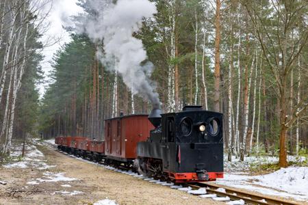 Waldeisenbahn Muskau