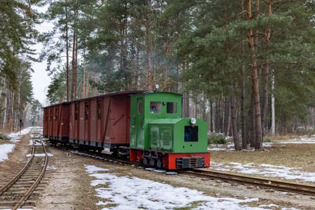 Waldeisenbahn Muskau