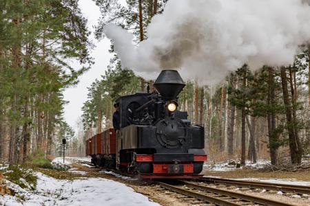 Waldeisenbahn Muskau