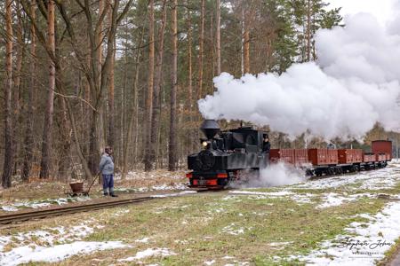 Waldeisenbahn Muskau