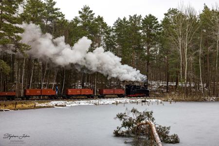 Waldeisenbahn Muskau