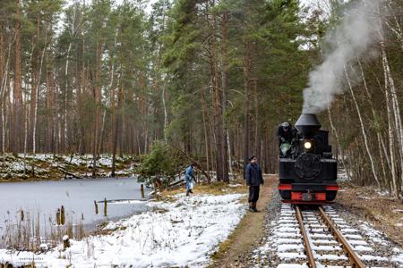 Waldeisenbahn Muskau