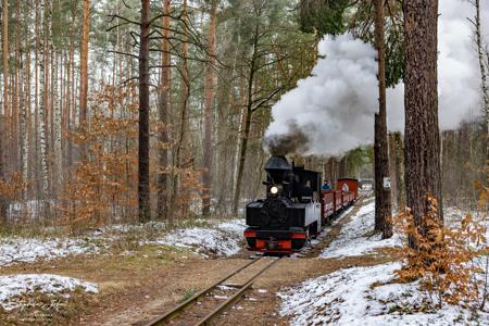 Waldeisenbahn Muskau