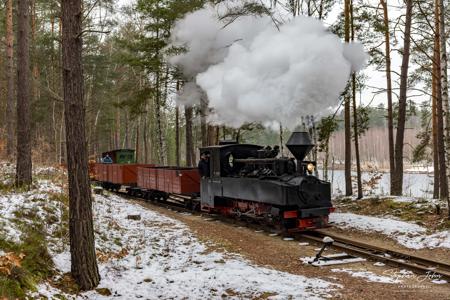 Waldeisenbahn Muskau