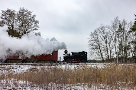 Waldeisenbahn Muskau