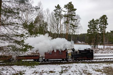 Waldeisenbahn Muskau