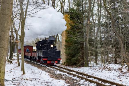 Waldeisenbahn Muskau