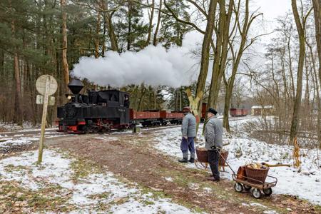 Waldeisenbahn Muskau