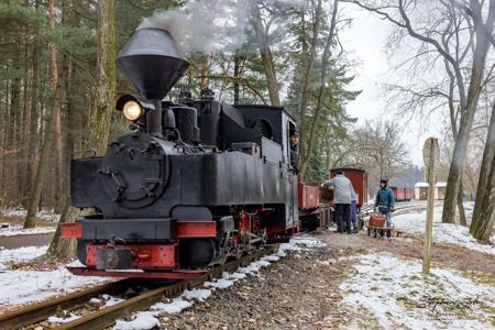 Waldeisenbahn Muskau