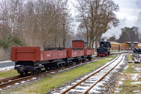 Waldeisenbahn Muskau