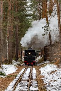 Waldeisenbahn Muskau