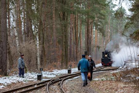 Waldeisenbahn Muskau