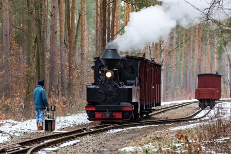 Waldeisenbahn Muskau