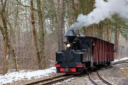 Waldeisenbahn Muskau