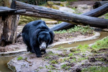 Zoo Leipzig