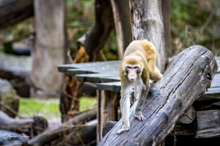 Zoo Leipzig