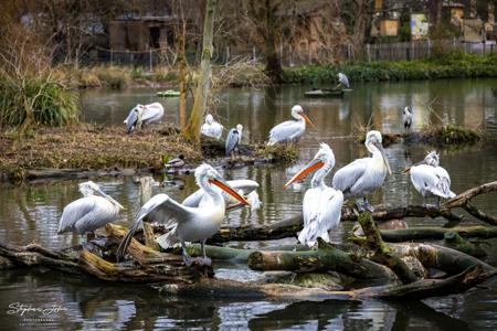 Zoo Leipzig