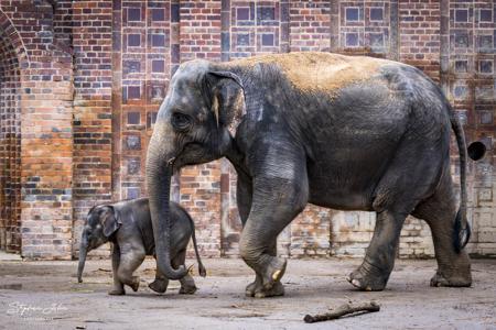 Zoo Leipzig