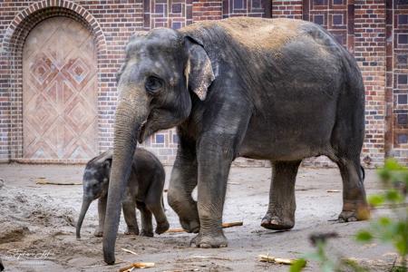 Zoo Leipzig