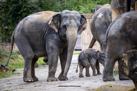 Zoo Leipzig