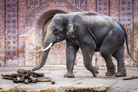 Zoo Leipzig