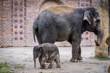 Zoo Leipzig