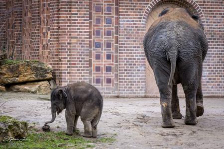 Zoo Leipzig