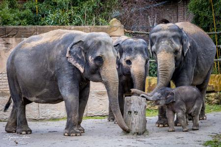 Zoo Leipzig