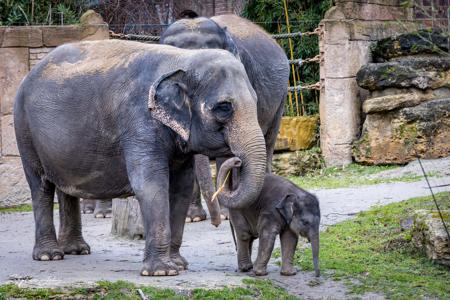 Zoo Leipzig