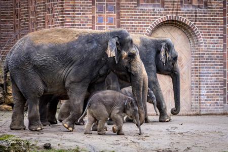 Zoo Leipzig