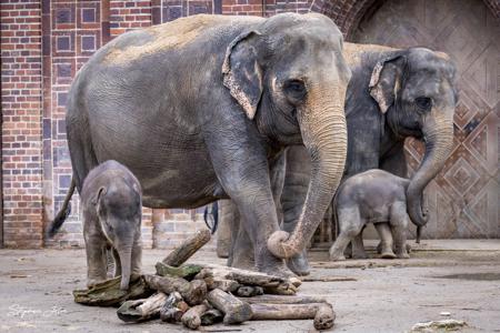 Zoo Leipzig