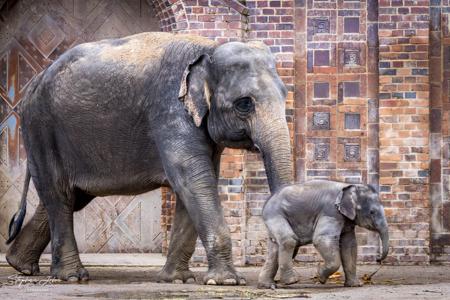 Zoo Leipzig