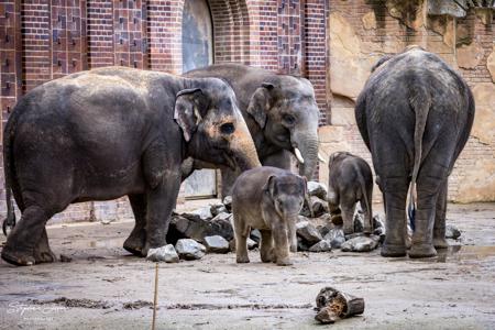 Zoo Leipzig