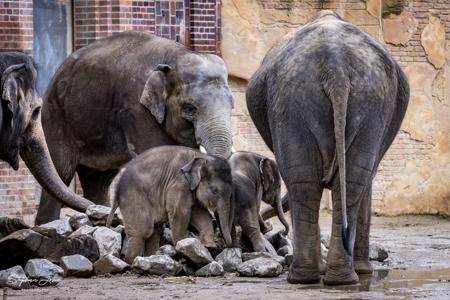 Zoo Leipzig