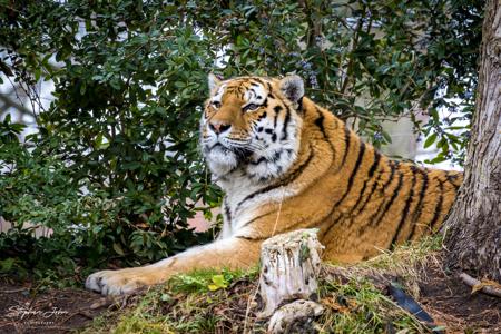 Zoo Leipzig