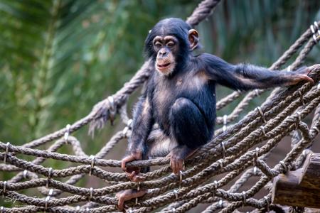 Zoo Leipzig