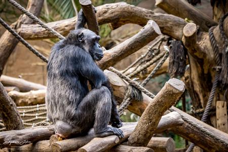 Zoo Leipzig