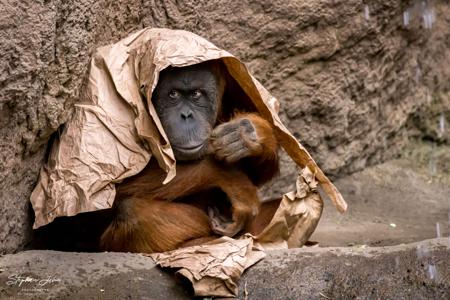 Zoo Leipzig