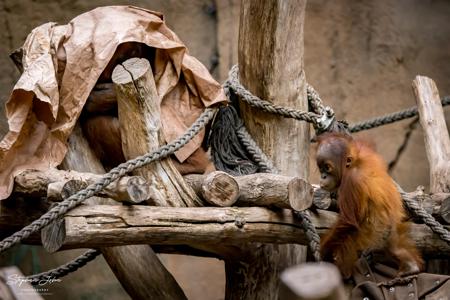 Zoo Leipzig