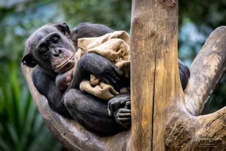 Zoo Leipzig