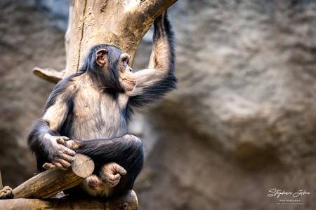 Zoo Leipzig