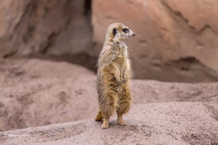 Zoo Leipzig