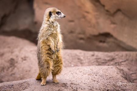 Zoo Leipzig