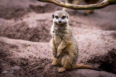 Zoo Leipzig