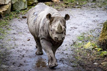 Zoo Leipzig