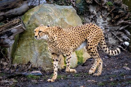 Zoo Leipzig